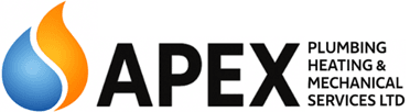 APEX logo