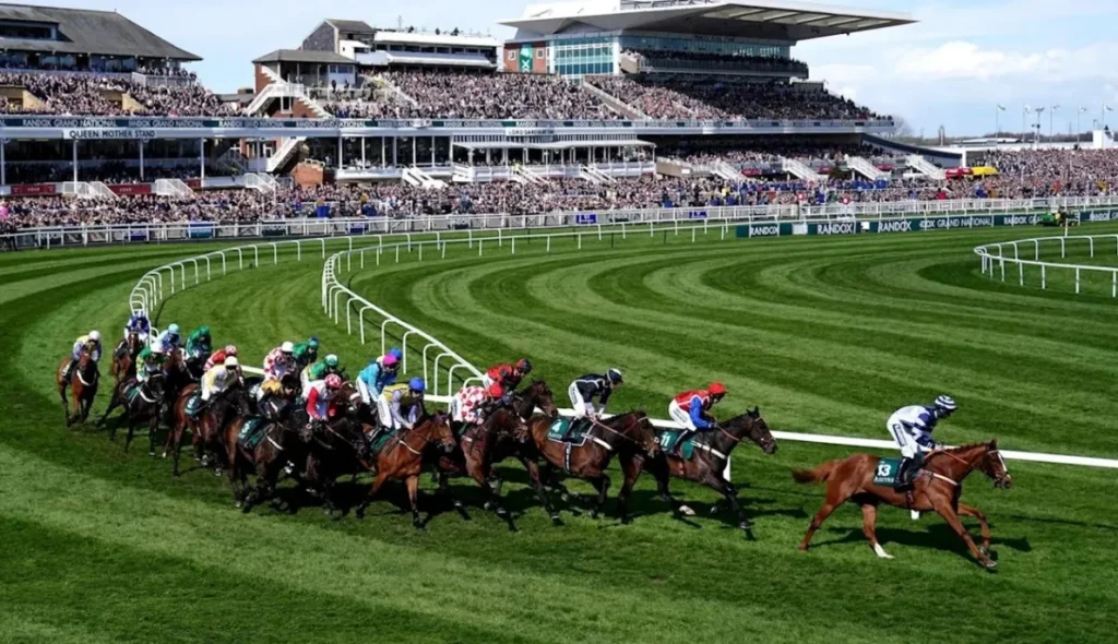 the jockey club dynamic consultants
