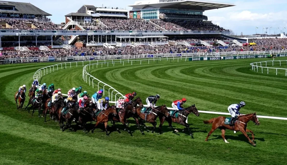 the jockey club dynamic consultants